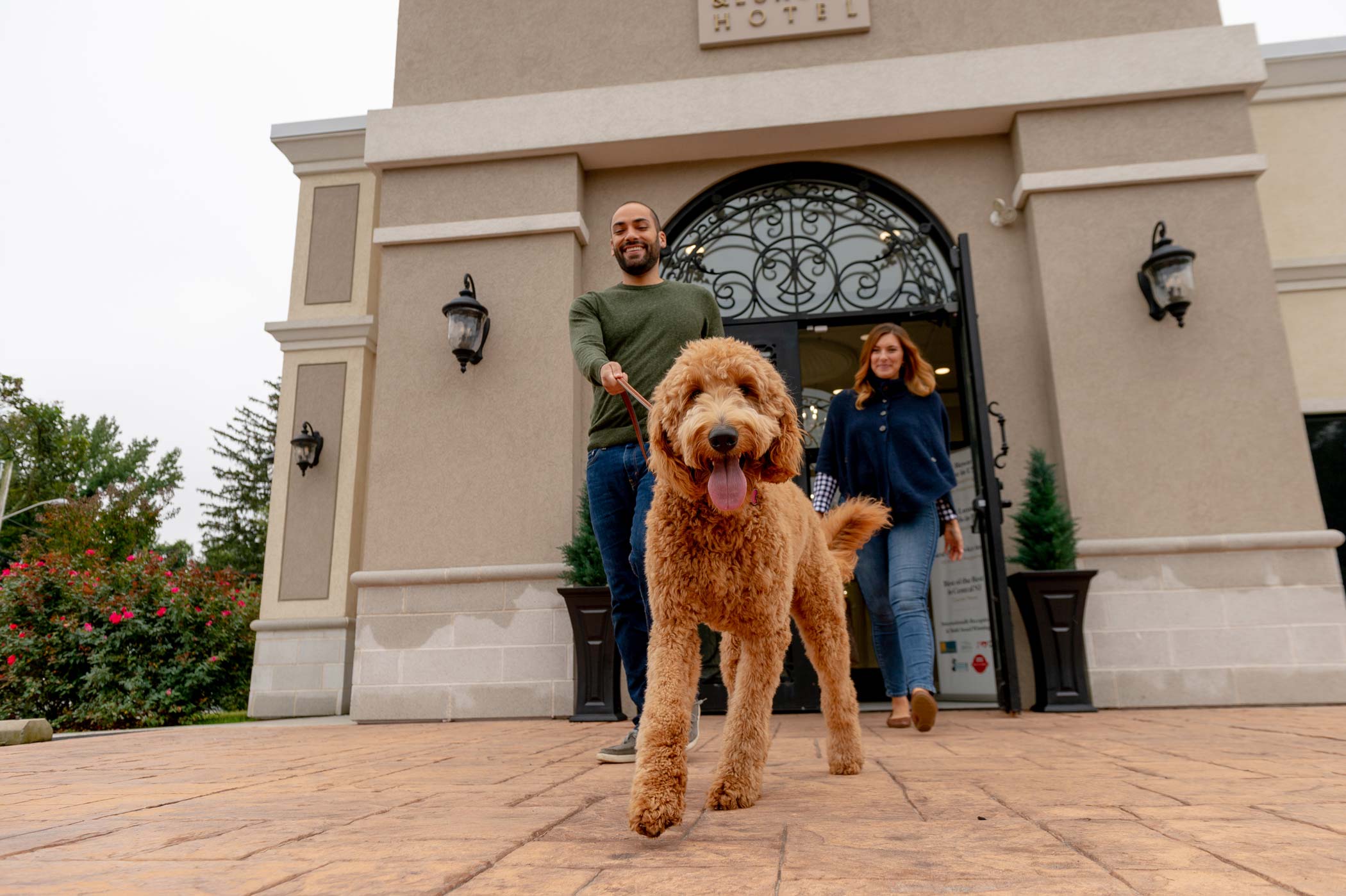 Hamilton Pet Hotel For Dog Boarding & Doggy Day Care | K9 Resorts