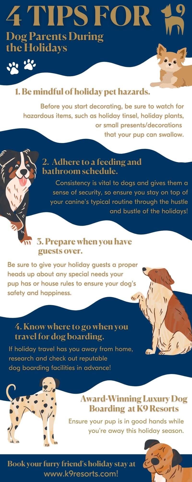 holiday tips for dog parents