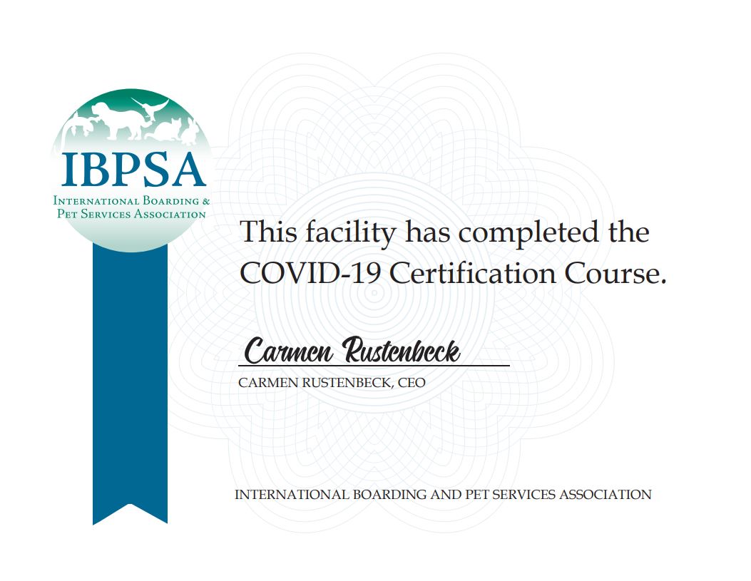 COVID-19 certification