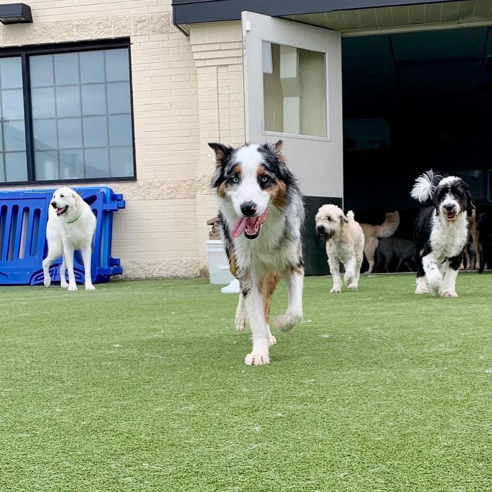 Text - Test Frandev Franchisee Testimonial 1