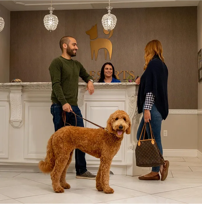 man dropping off dog at K9 resorts