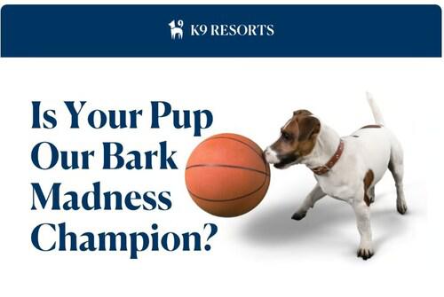 K9 Resorts Kicks Off “BARK Madness” Competition, Offering a $500 Gift Card to Winning Pet Parent