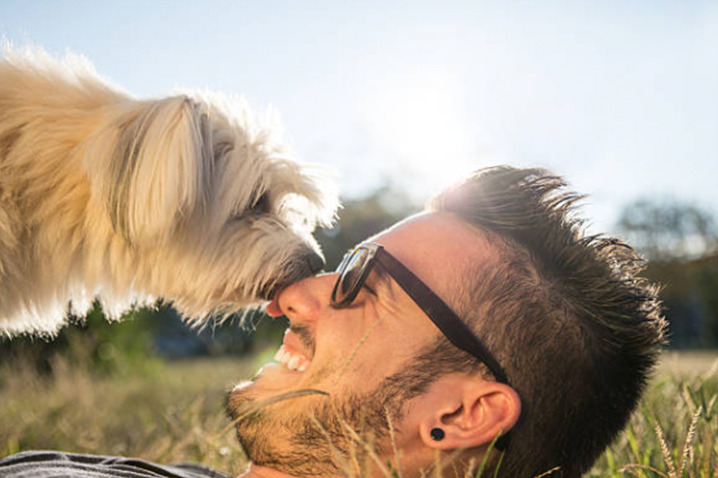 Why K9 Resorts is a Great Franchise for Animal Lovers