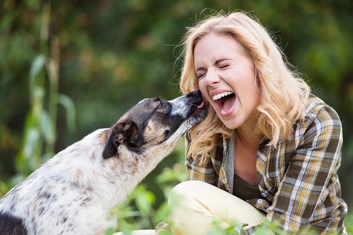 What is the Best Franchise Opportunity for Animal Lovers?