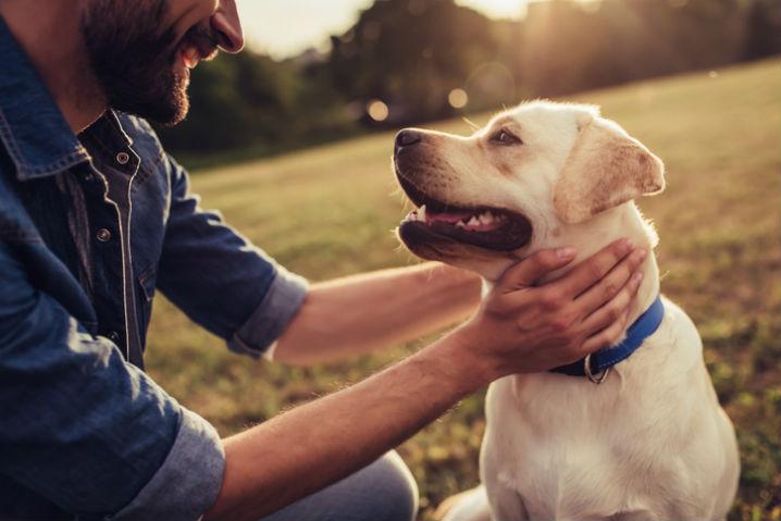 Why Pet Care is an Emotional & Financially Friendly Industry