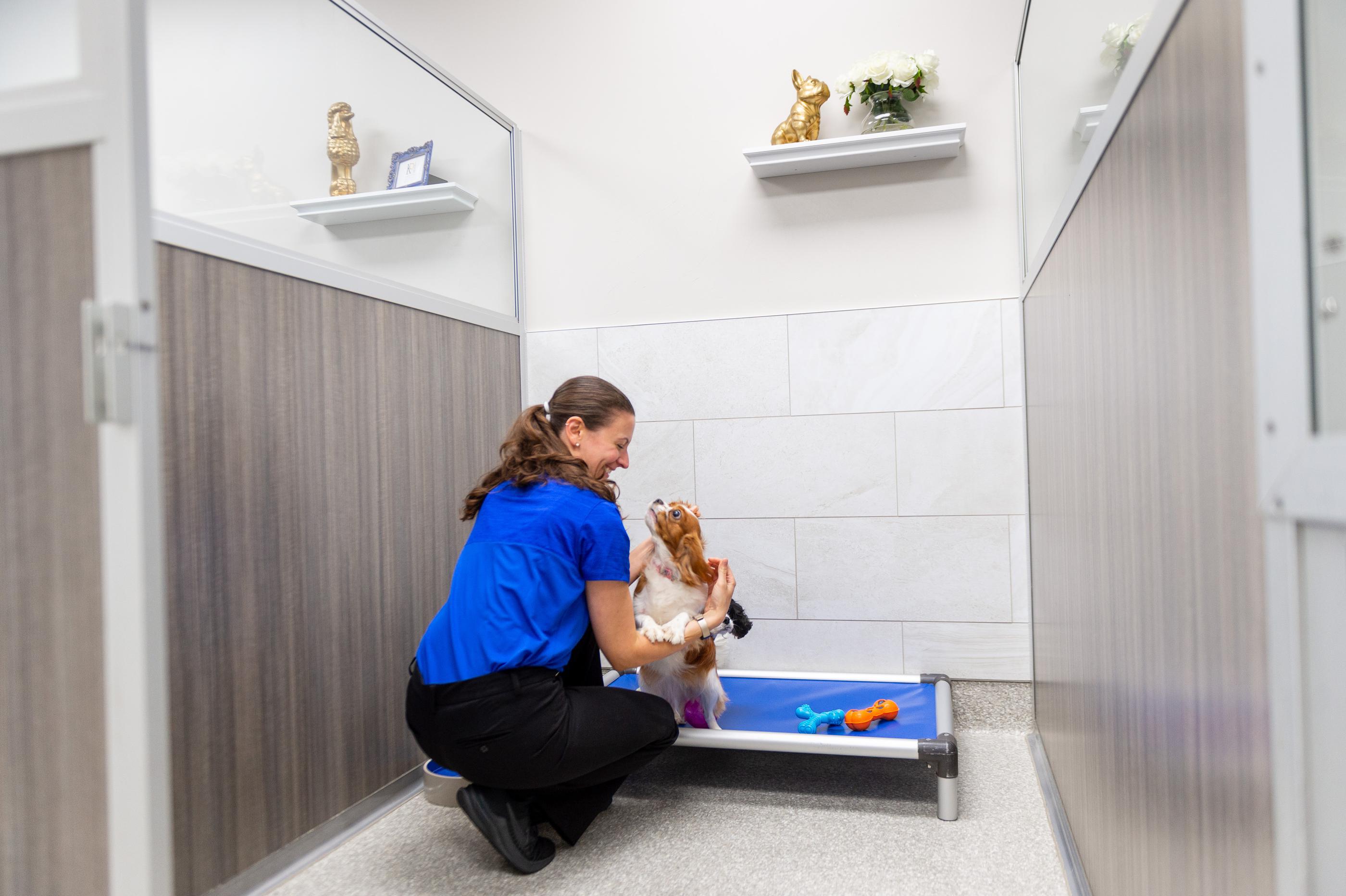 K9 Resorts Team Member visiting dog in boarding room