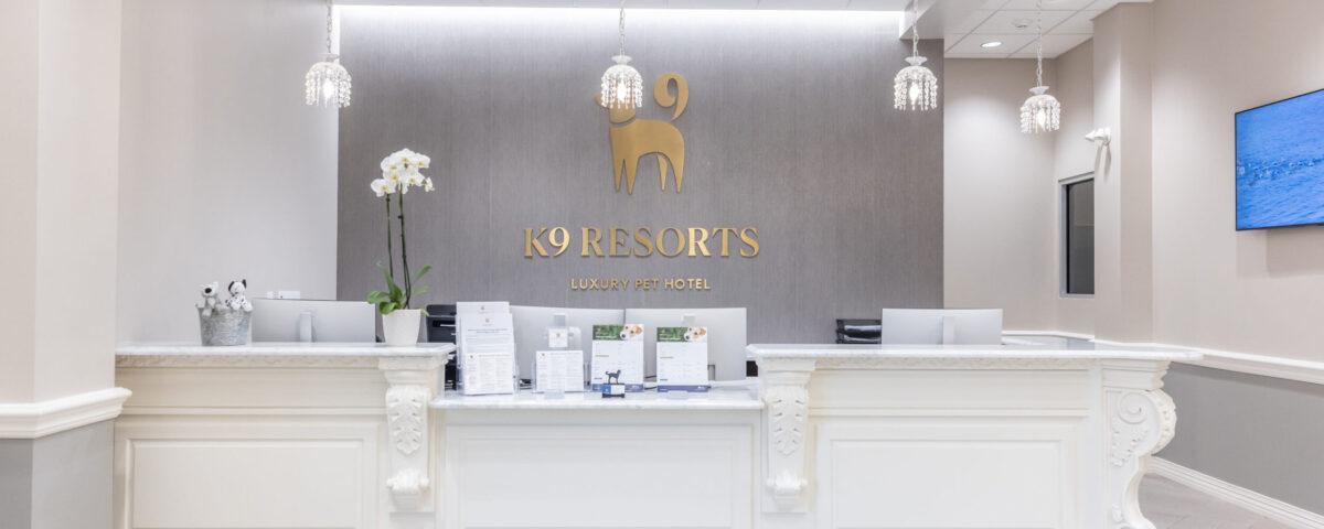 K9 Resorts Latest Trends in The Pet Industry