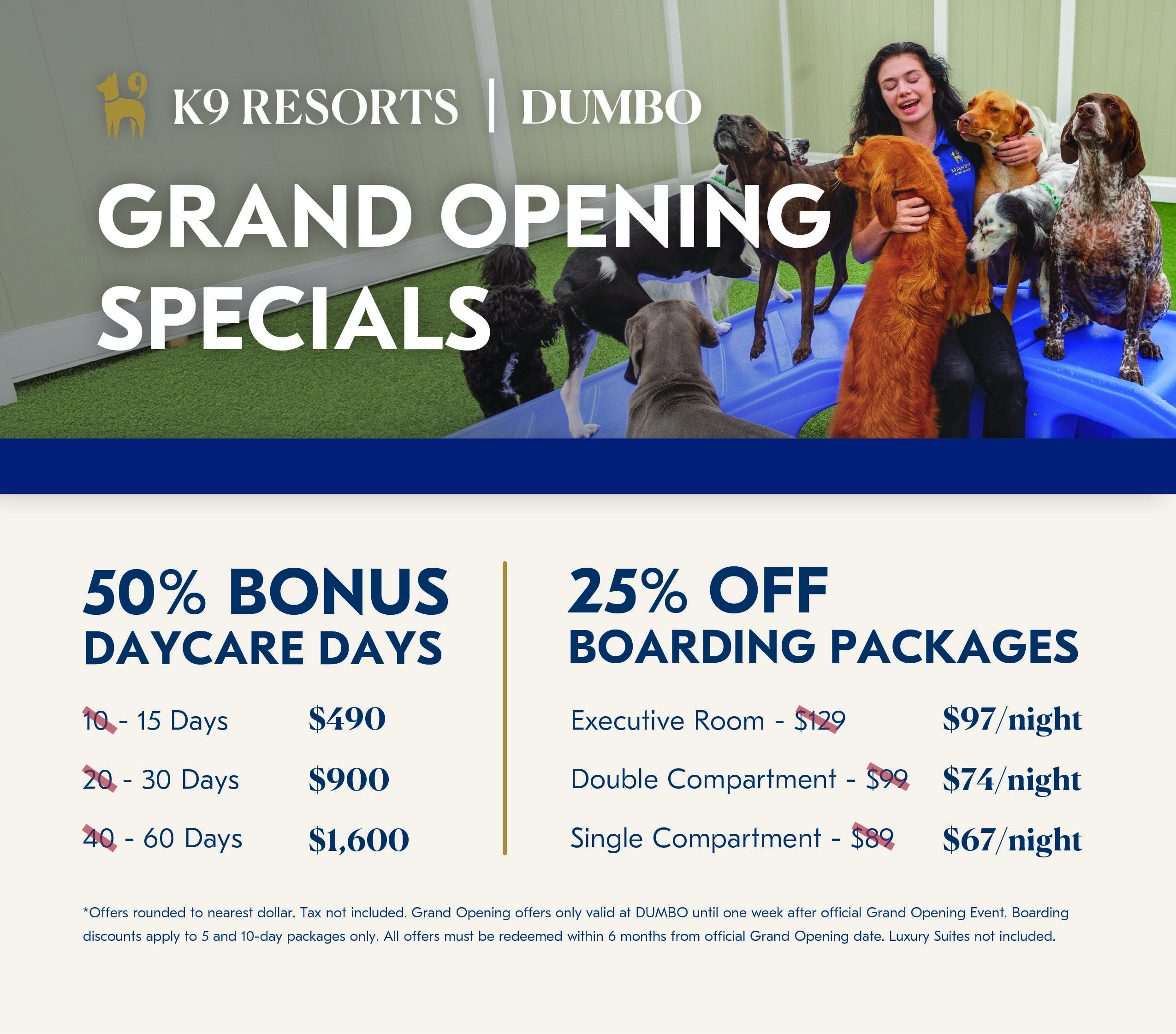 Grand Opening Specials