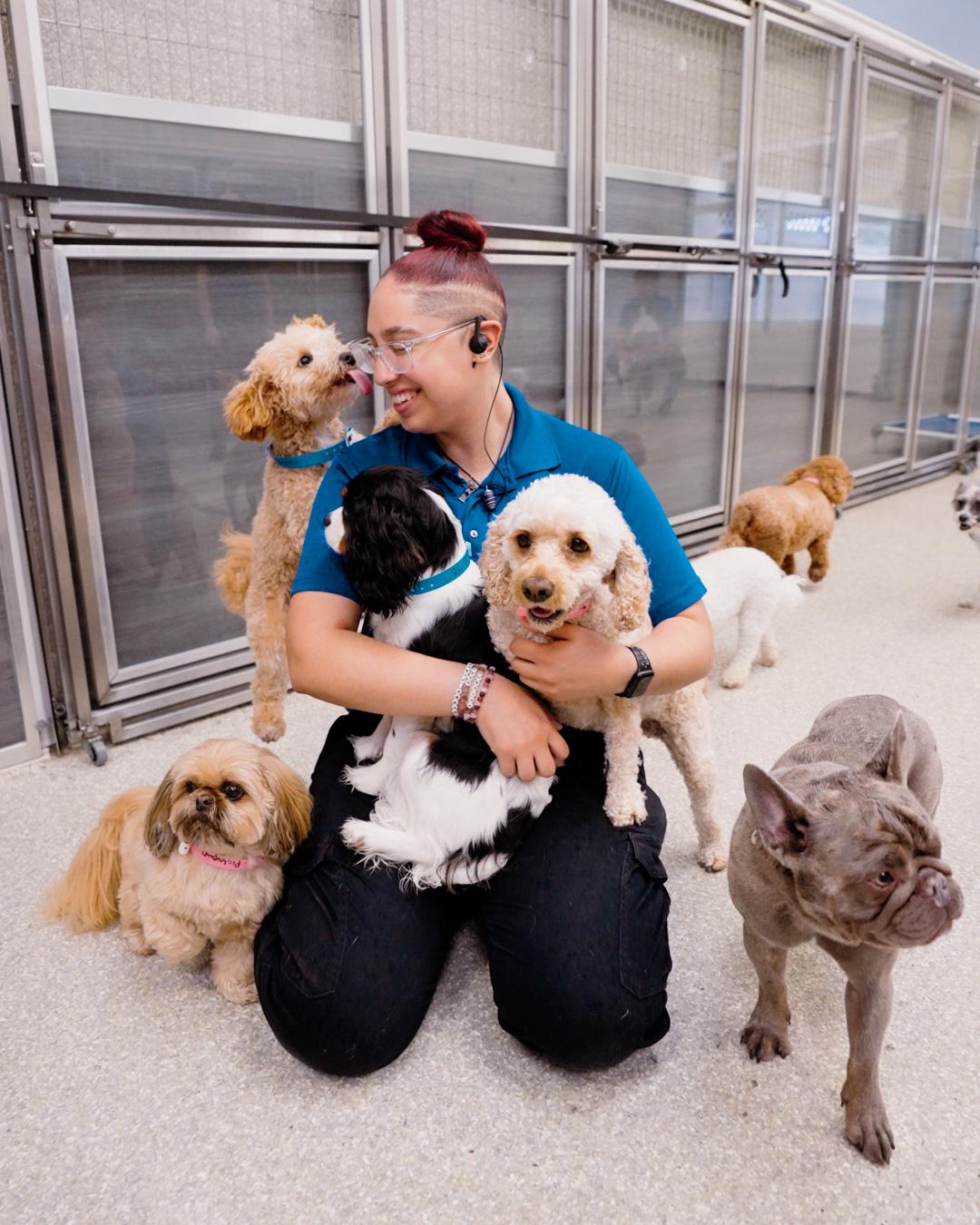 K9 Team member with small dogs