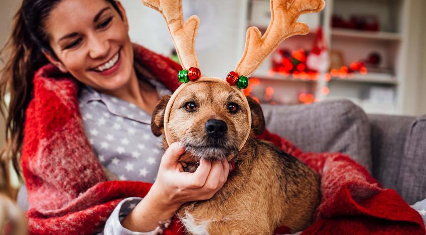 How to Keep Your Dogs Calm and Happy During the Holidays