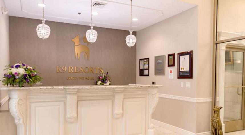 K9 Resorts Partners with Franchise Veteran as Pet Service Industry Surges, Marks Debut in Utah and Nebraska