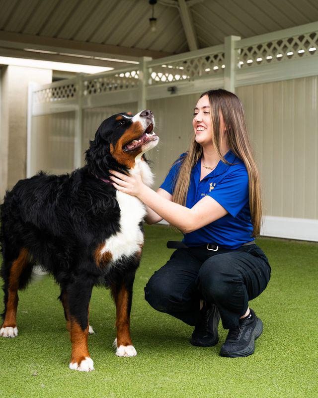 Team member with large dog