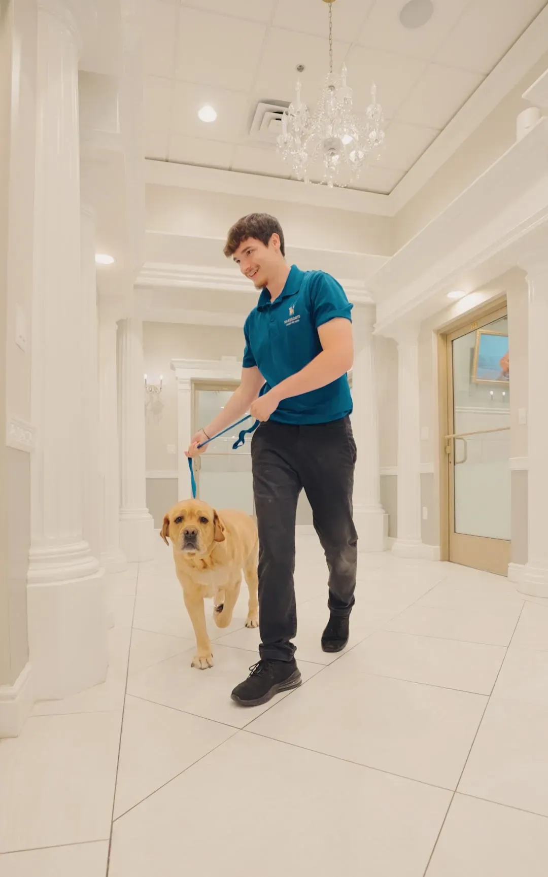 Luxury hotel hallway with staff member and dog