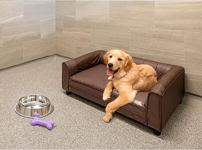 Golden Retriever relaxing on brown leather couch in luxury suite
