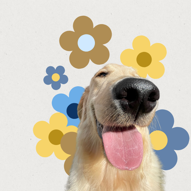 Ring in Spring with a Special Daycare Package.