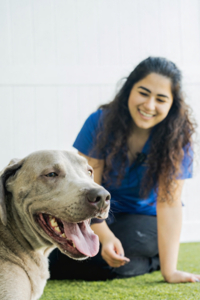 Swing into Spring: 30 Daycare Days for $99.