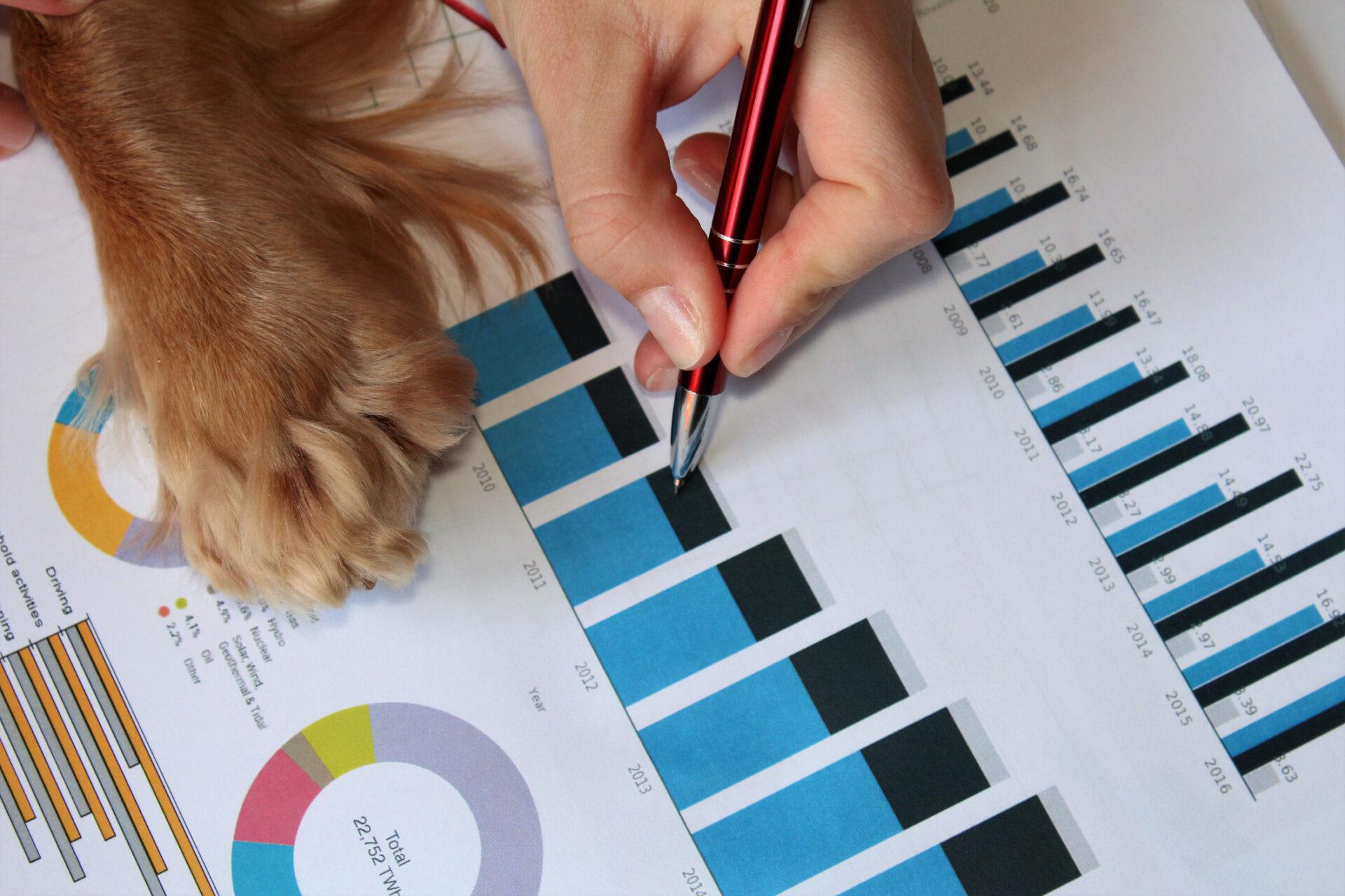 K9 Resorts Continues Rapid Growth – Projects a Strong 2019