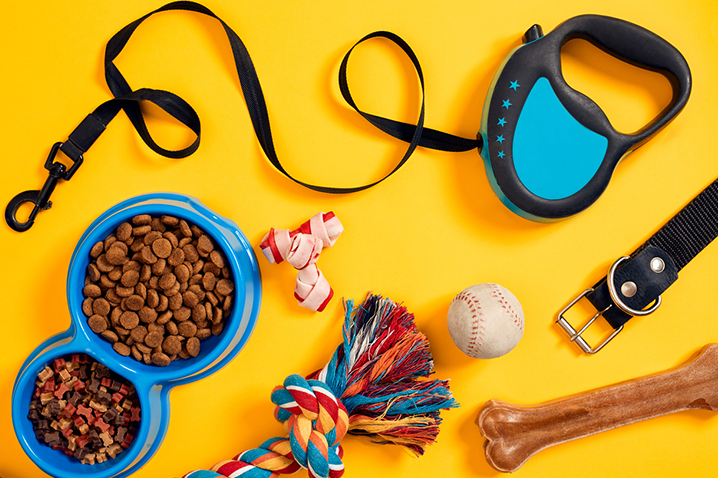 What Supplies are Needed When Starting a Dog Care Franchise?