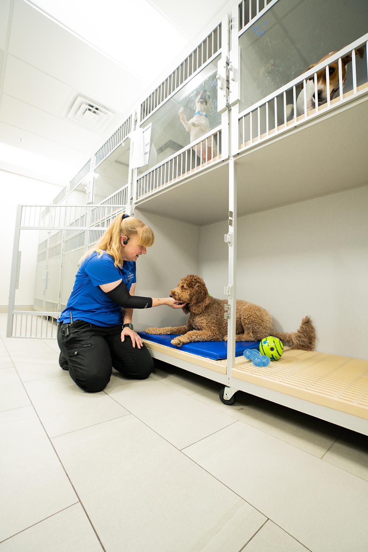 Happy Dog in double wide area