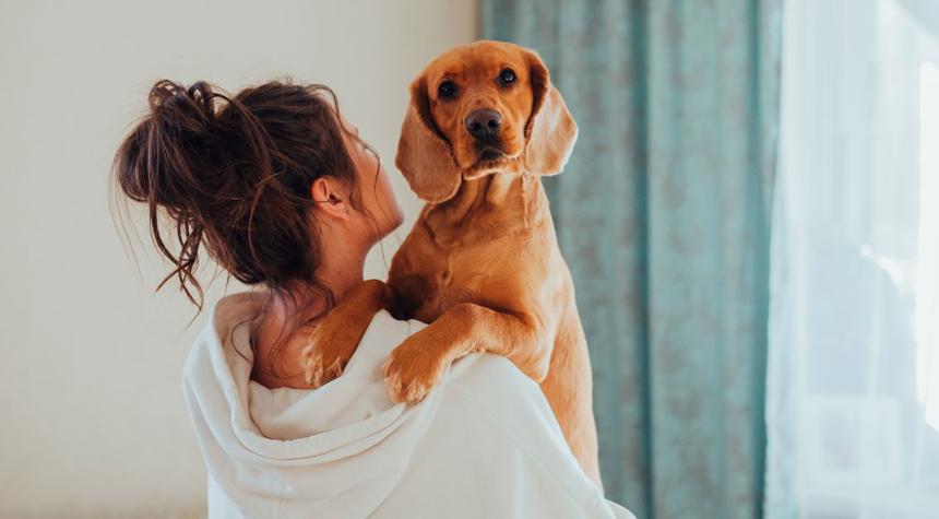 Understanding Dog Behaviors: Why Does My Dog Do That?