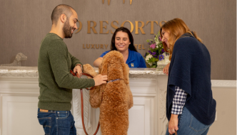 What Services Do Luxury Pet Hotels Offer?