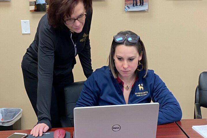 Why Veterinarians Would Make Great Dog Daycare Business Owners